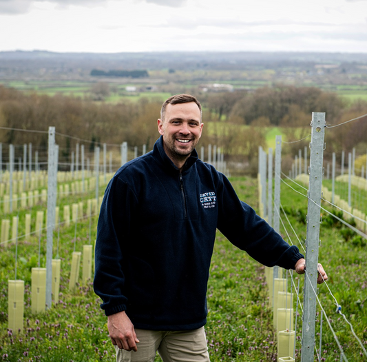 Life is short, join us and drink the good wine!