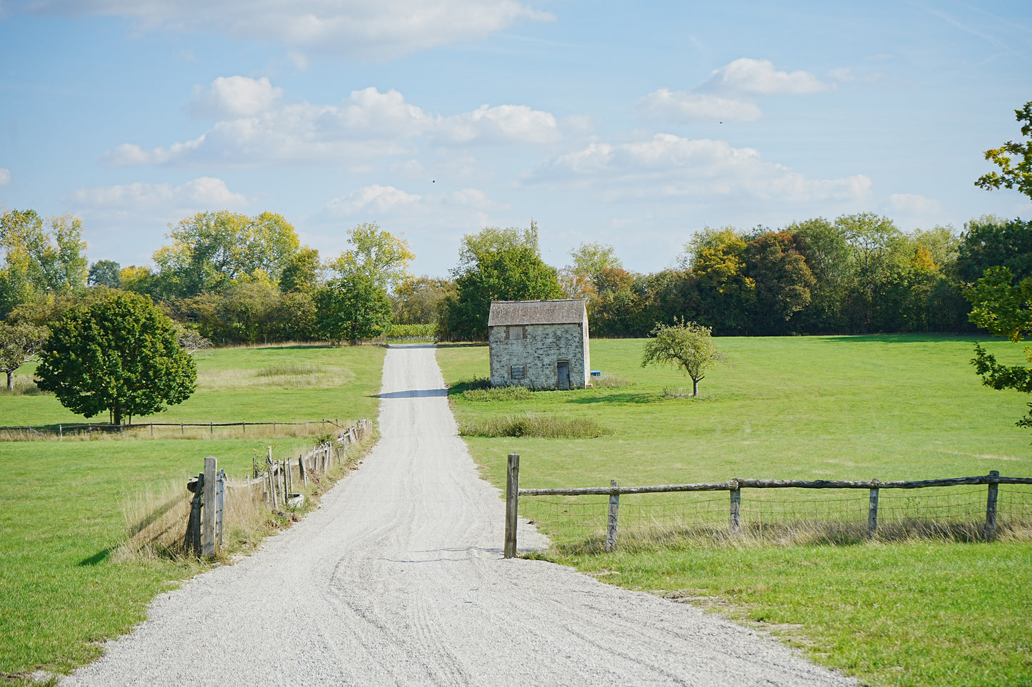 Open Days 24th and 25th May