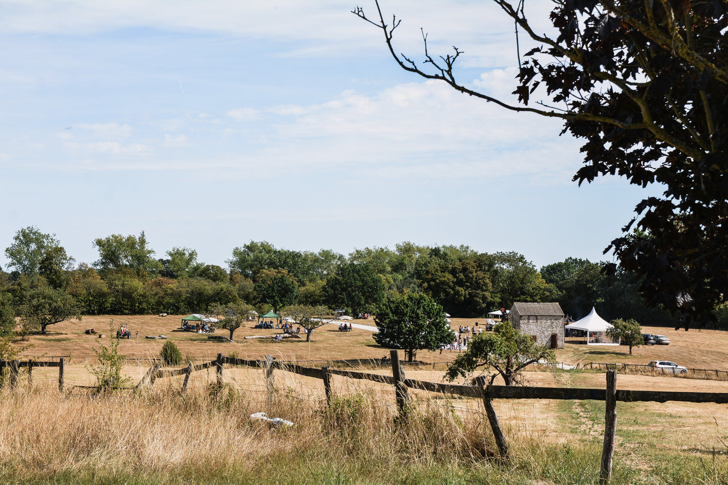 Harvest Festival 5th September