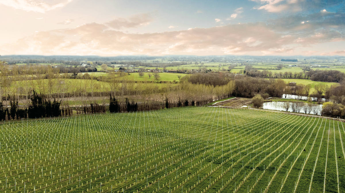 Ragstone Ridge Contact – Ragstone Ridge Wine